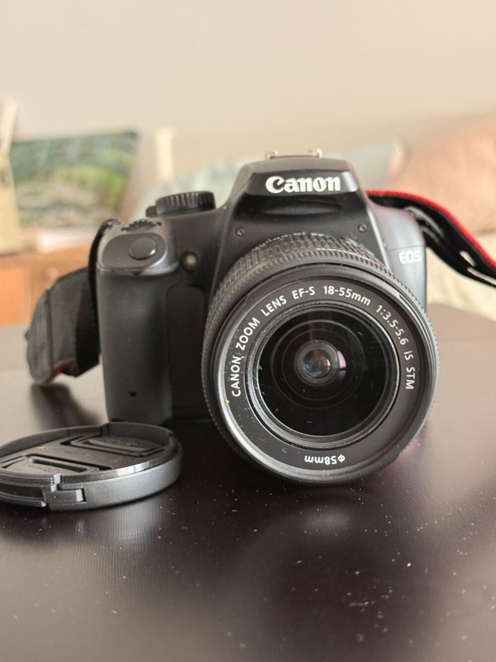 Canon EOS Digital SLR Camera Black 18MP w/ EF-S 18-55mm IS STM Lens